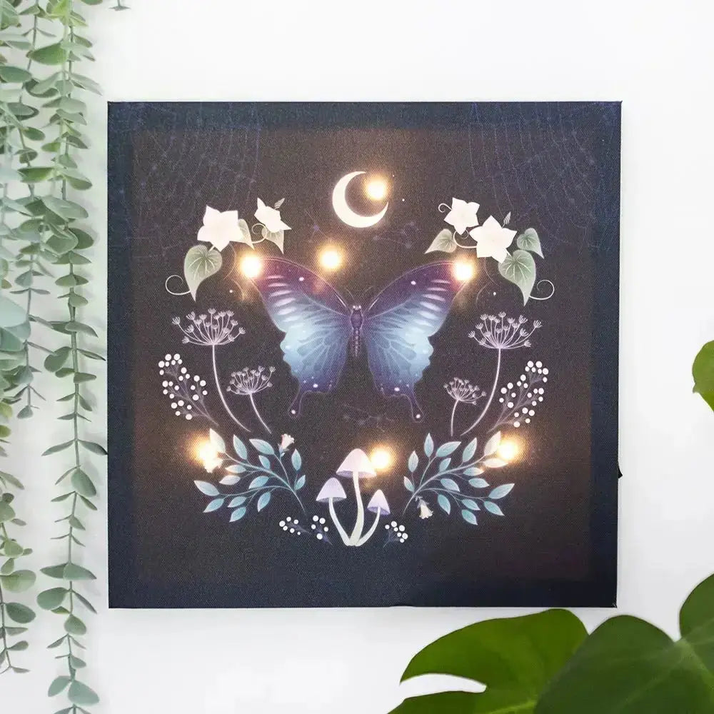 Mystical Midnight Light Up Moth Canvas Something Different Ziya Blue