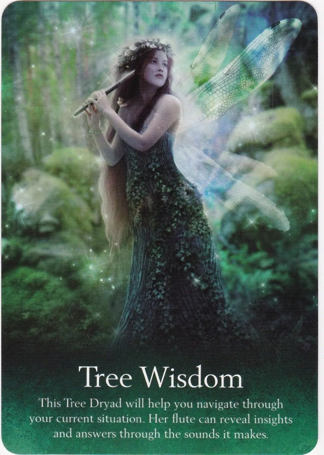 Oracle of the Fairies: The Mini 44-Card Nature Deck Ziya Blue Ziya Blue