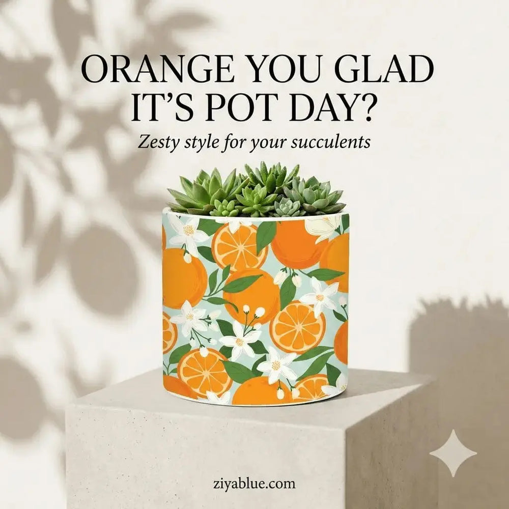 Orange Ceramic Planter - 6.5" Mediterranean Citrus Pot Abbott Ziya Blue