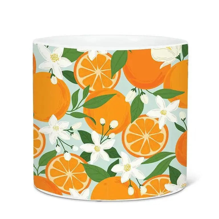 Orange Ceramic Planter - 6.5" Mediterranean Citrus Pot Abbott Ziya Blue