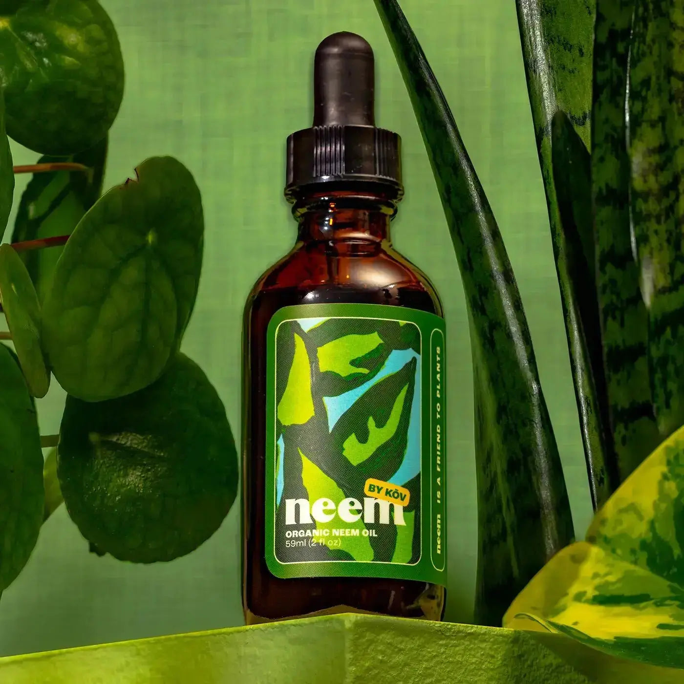 Organic Neem Oil | Nature's Ultimate Plant Protector Kelpy Ziya Blue