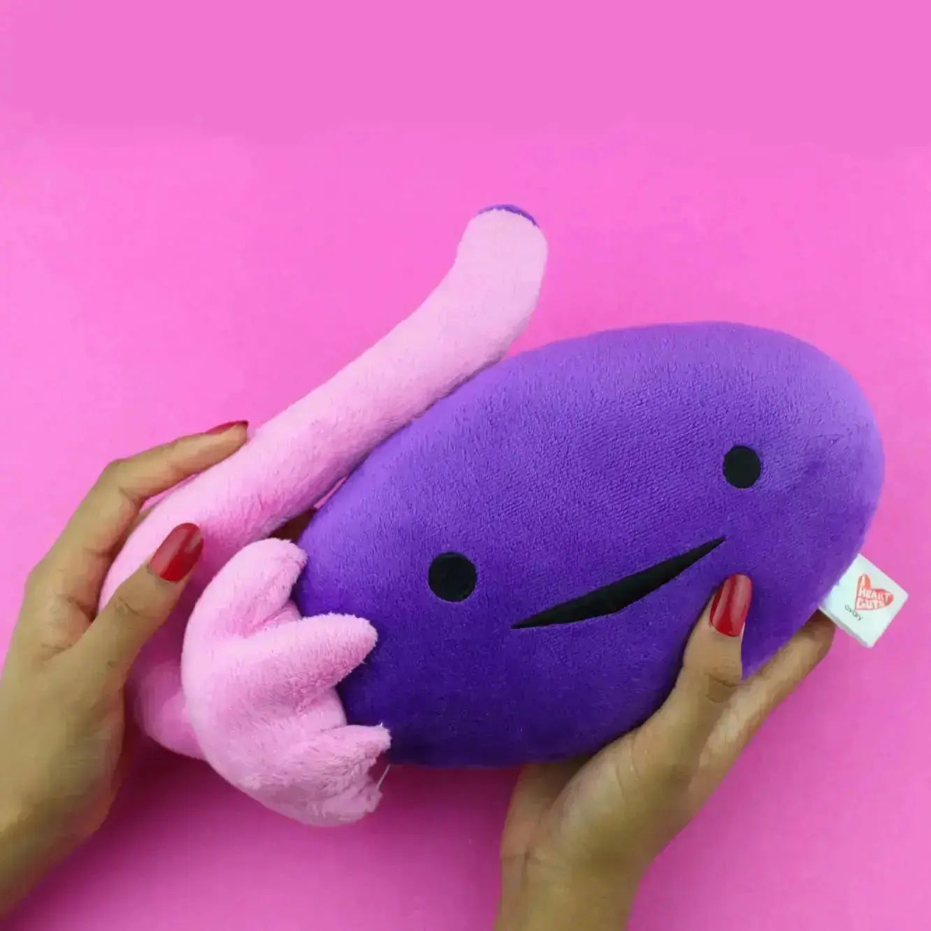 Ovary Plushie: Funny Anatomical Pillow I Heart Guts Ziya Blue