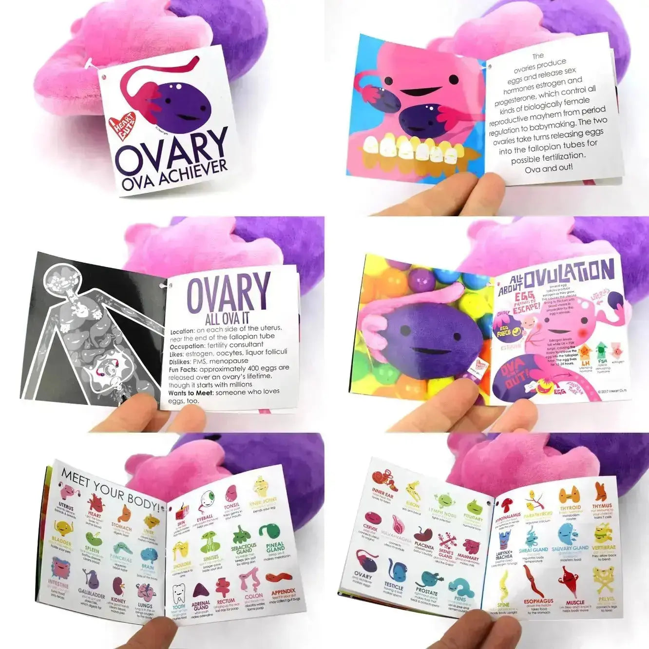 Ovary Plushie: Funny Anatomical Pillow I Heart Guts Ziya Blue