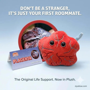 Placenta Plush | 5" Anatomy Toy Giant Microbes Ziya Blue