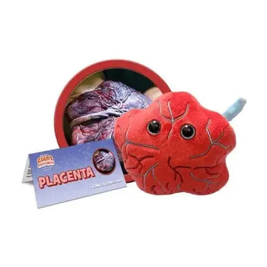 Placenta Plush | 5" Anatomy Toy Giant Microbes Ziya Blue