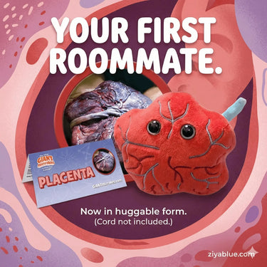 Placenta Plush | 5" Anatomy Toy Giant Microbes Ziya Blue