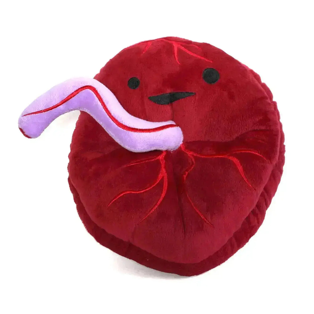 Placenta Plushie | Baby's First Roommate Stuffed Toy I Heart Guts Ziya Blue