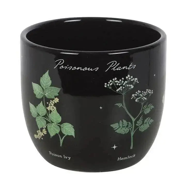 Poisonous Plants Plant Pot – Gothic Botanical Ceramic Planter Something Different Ziya Blue