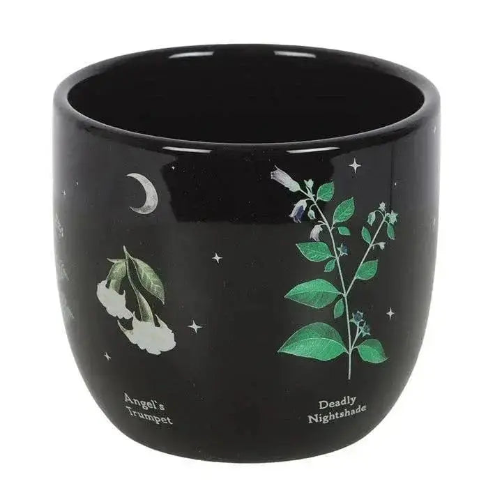 Poisonous Plants Plant Pot – Gothic Botanical Ceramic Planter Something Different Ziya Blue