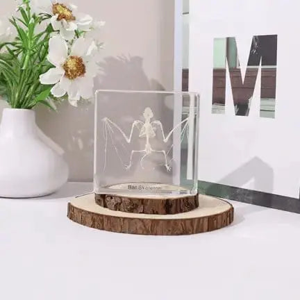 Real Bat Skeleton in Resin: Where Macabre Meets Magnificent 🦇🔬 Ziya Blue Ziya Blue