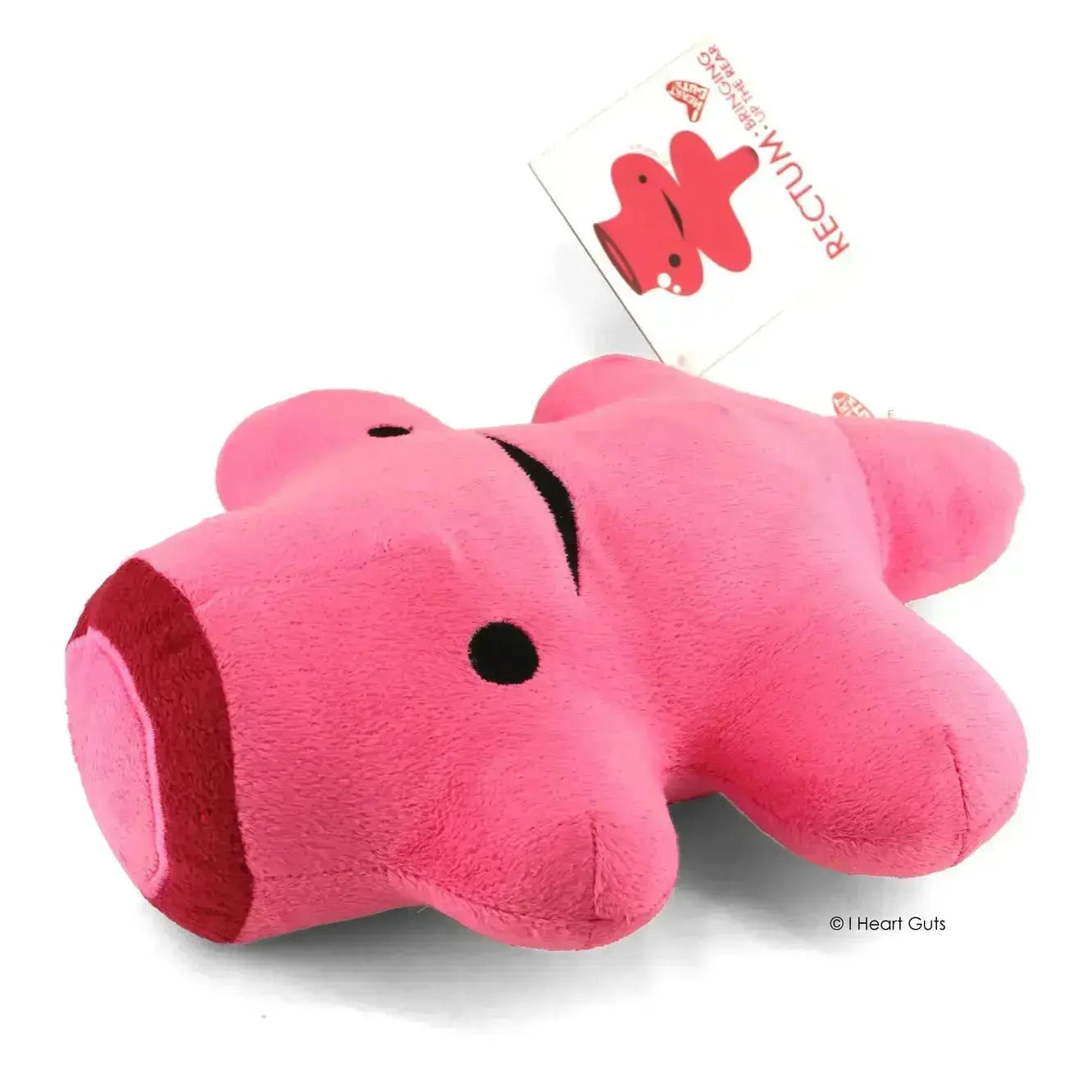 Rectum Plushie | Bringing Up The Rear Surgery Pillow I Heart Guts Ziya Blue