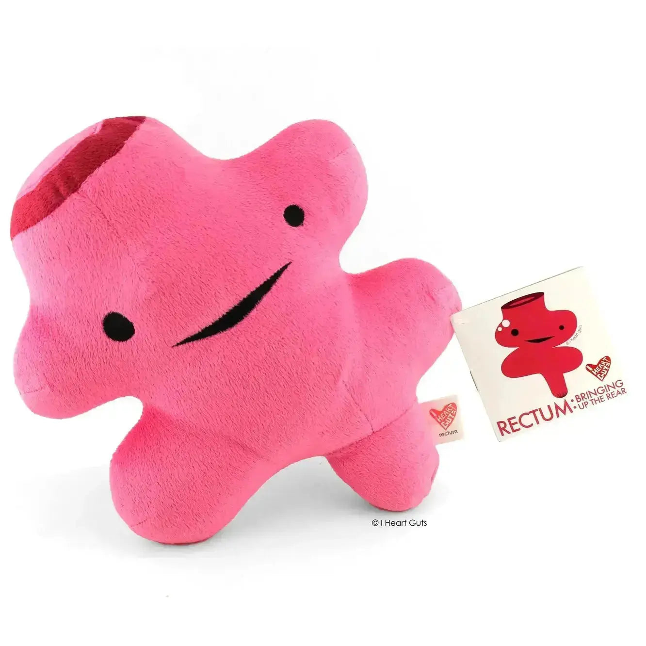 Rectum Plushie | Bringing Up The Rear Surgery Pillow I Heart Guts Ziya Blue
