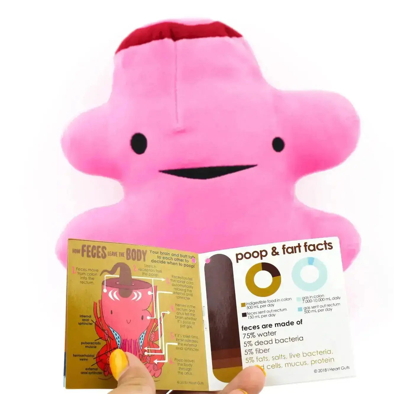 Rectum Plushie | Bringing Up The Rear Surgery Pillow I Heart Guts Ziya Blue