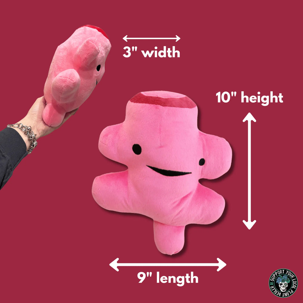 Bringing Up The Rear: The Rectum Plushie & Surgery Pillow I Heart Guts Ziya Blue