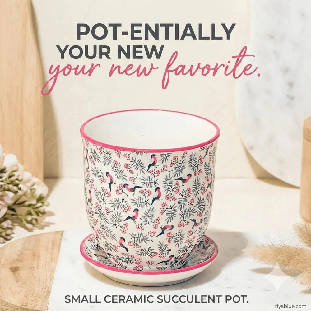 Red Bird Ceramic Planter | Small 3.25 Inch Pot & Saucer Chive Ziya Blue