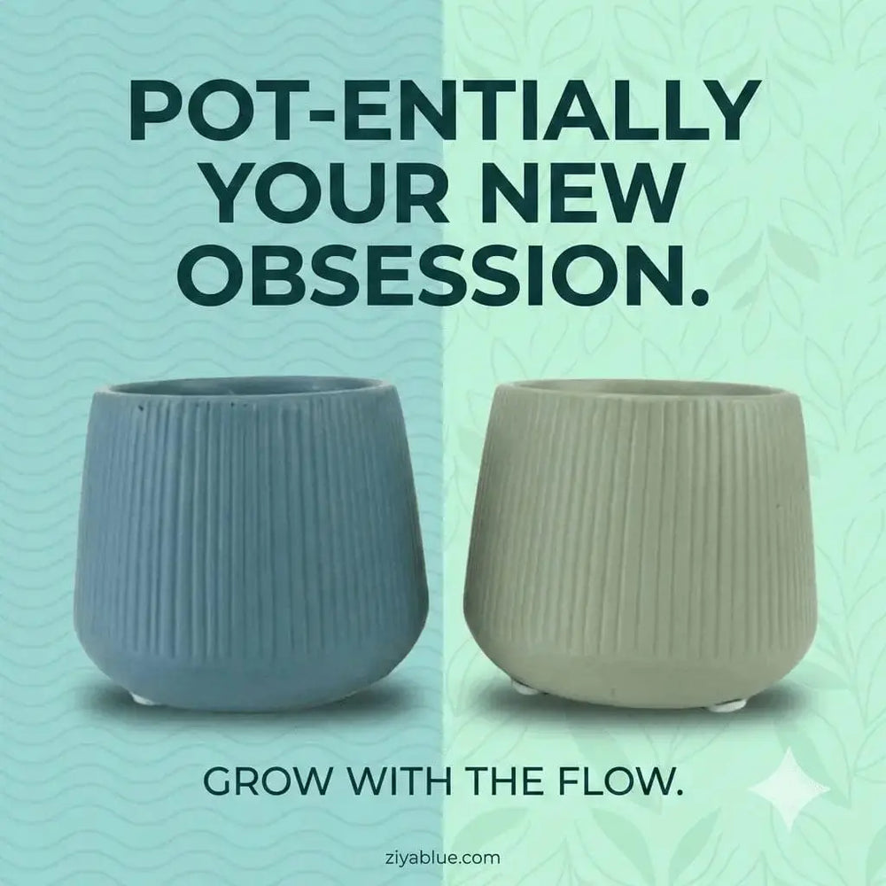 Ribbed Ceramic Succulent Planter - 3" Ollie Mini Pot Colasanti Farms Limited Ziya Blue