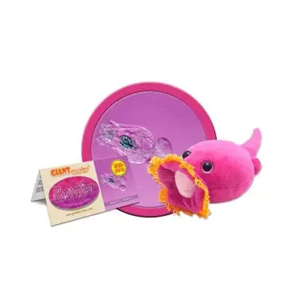 Rotifer Plush: The Resilient "Wheel Animal" 🎡🔬 Giant Microbes Ziya Blue