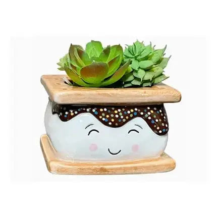 S'mores Ceramic Succulent Planter - 3.5" Marshmallow & Graham Pot Streamline Ziya Blue