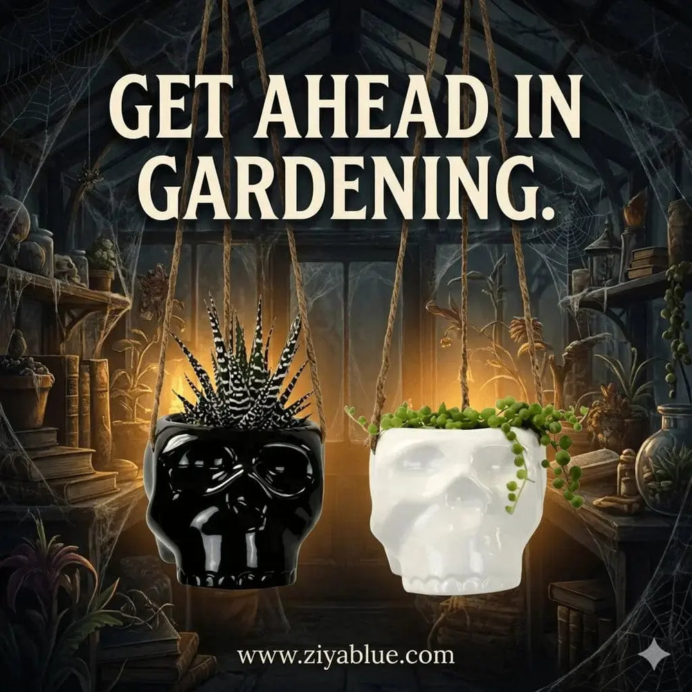 Skull Hanging Air Plant Holder - 3" Creepy-Cute Ceramic Pot Colasanti Farms Limited Ziya Blue