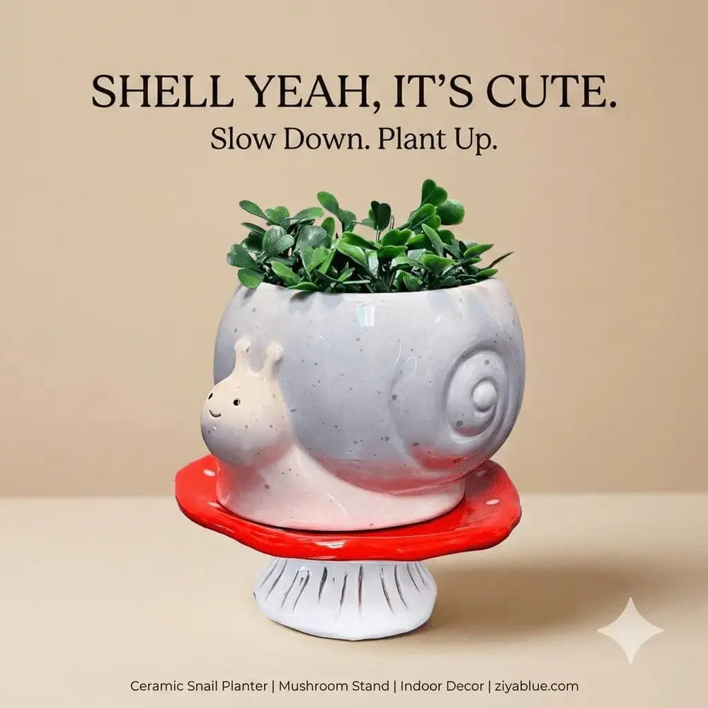 Snail and Mushroom Planter - Footed Ceramic Desktop Pot Streamline Ziya Blue
