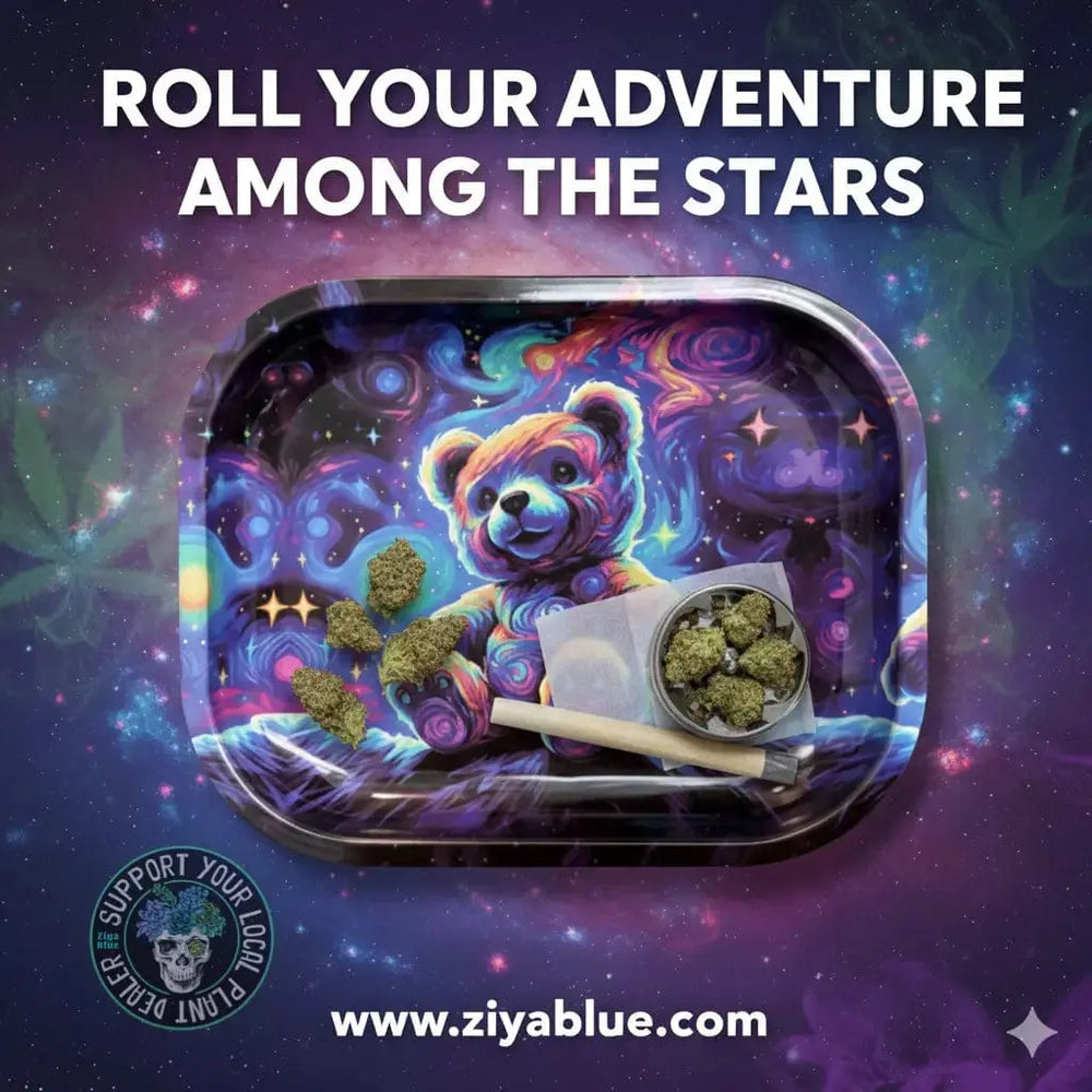Space Teddy Rolling Tray – 6.6" Smoking Accessory Ziya Blue Ziya Blue