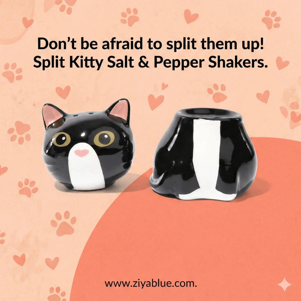 Split Kitty Salt & Pepper Set — Two Halves, One Purr-fect Whole Streamline Ziya Blue