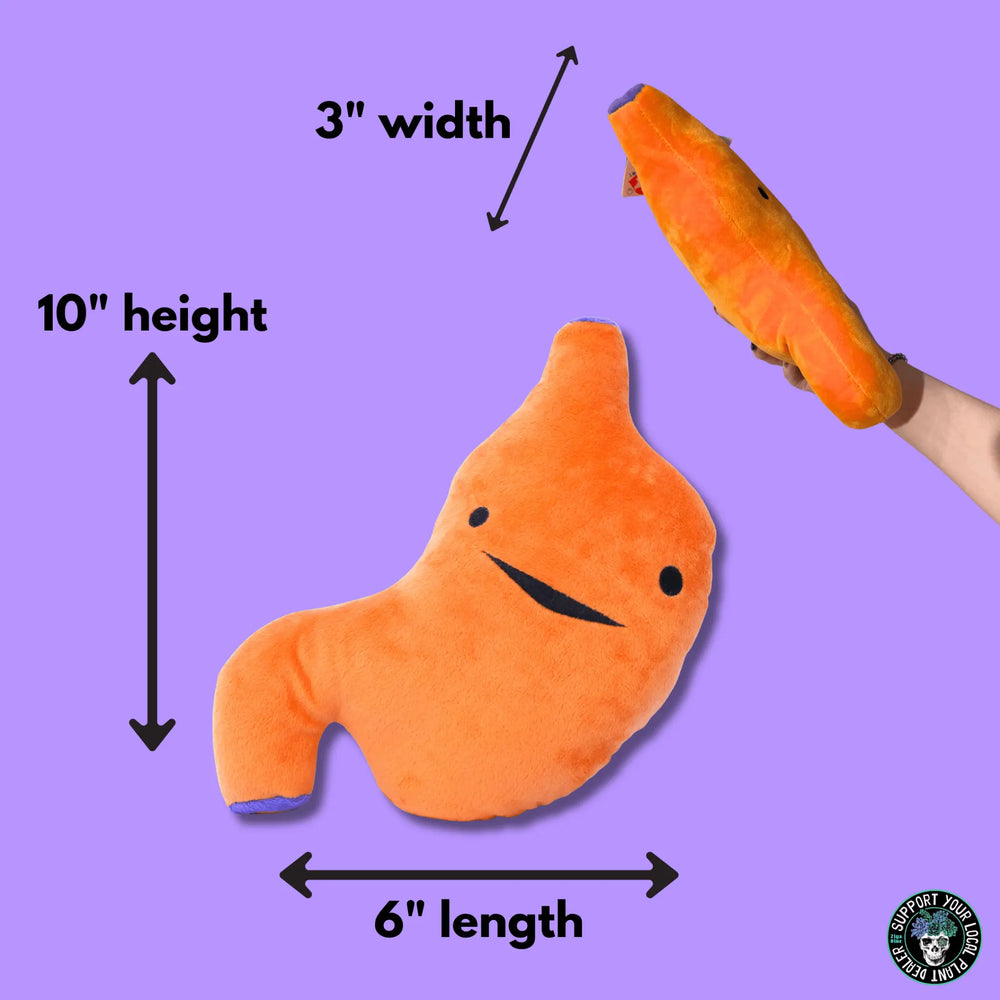Stomach Plush | I Heart Guts Anatomy I Heart Guts Ziya Blue