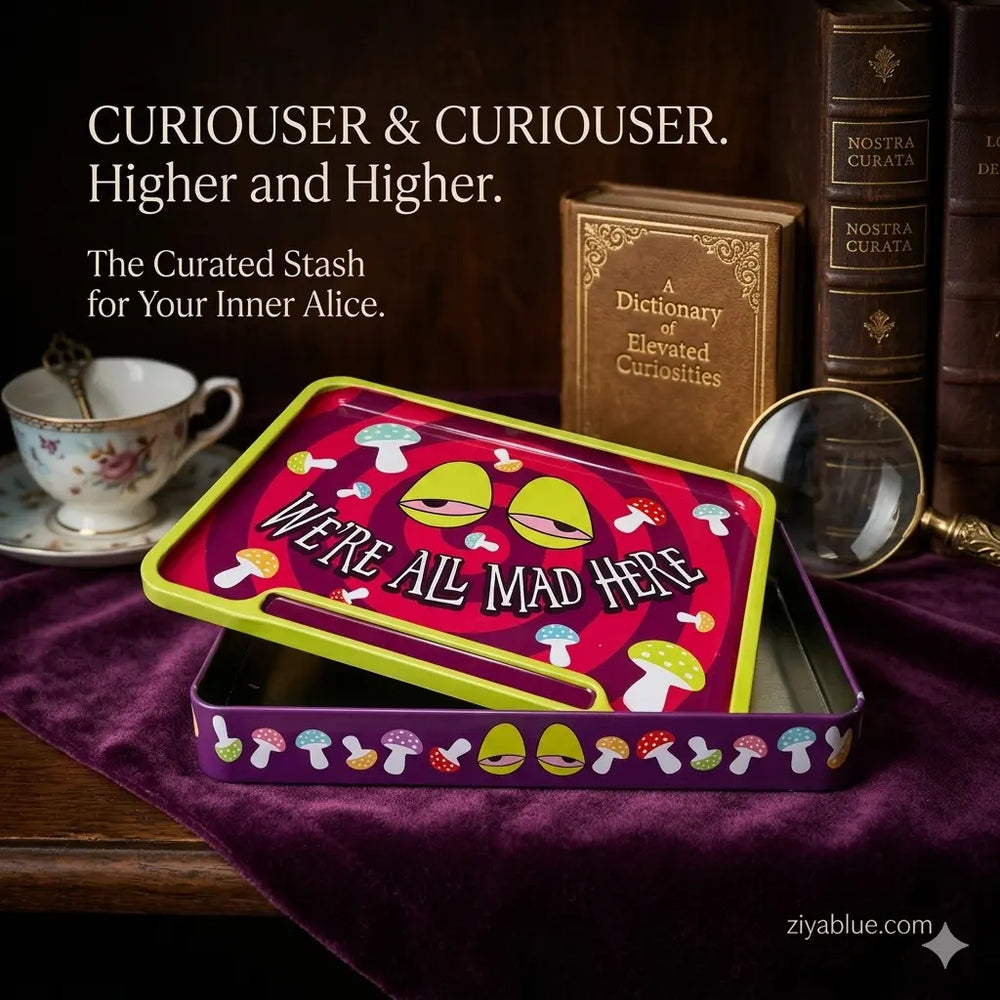 Were All Mad Here Stash Box: Embrace the Wonderland Madness  Ziya Blue
