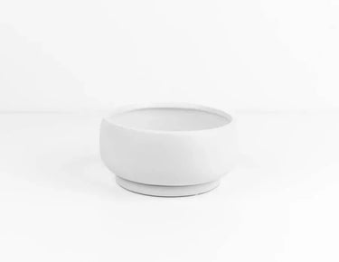 White Bonsai Bowl W/ Saucer