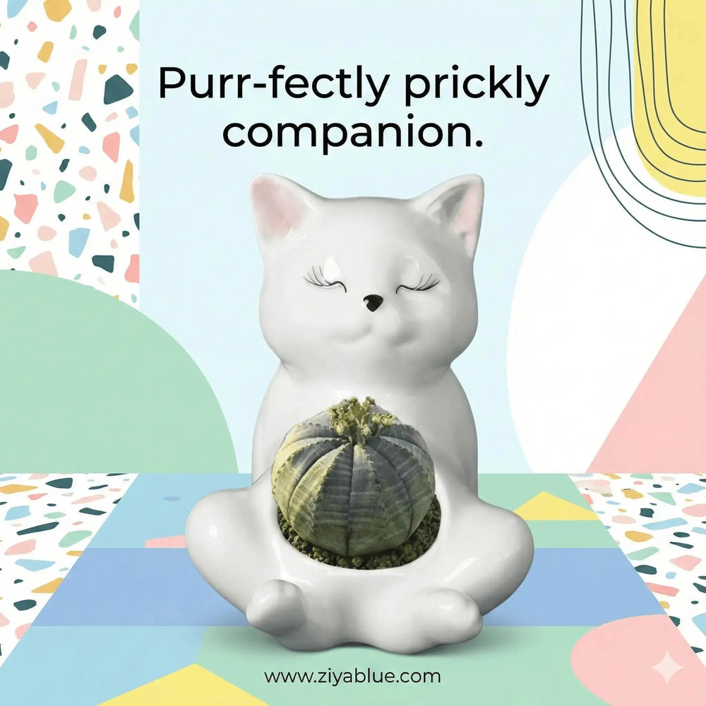 White Cat Ceramic Planter - Kitten Belly Succulent Pot Ziya Blue Ziya Blue