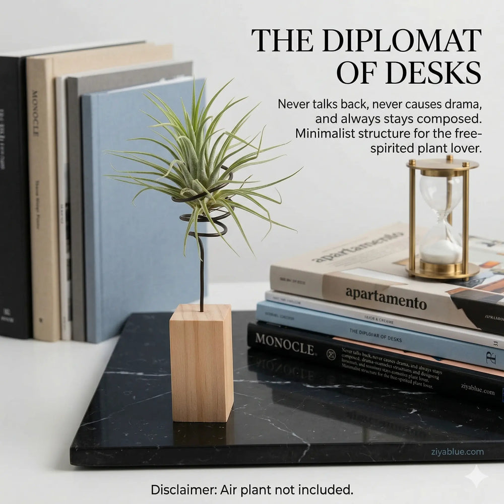 Wood Airplant Holder: Minimalist Desktop Stand  Ziya Blue