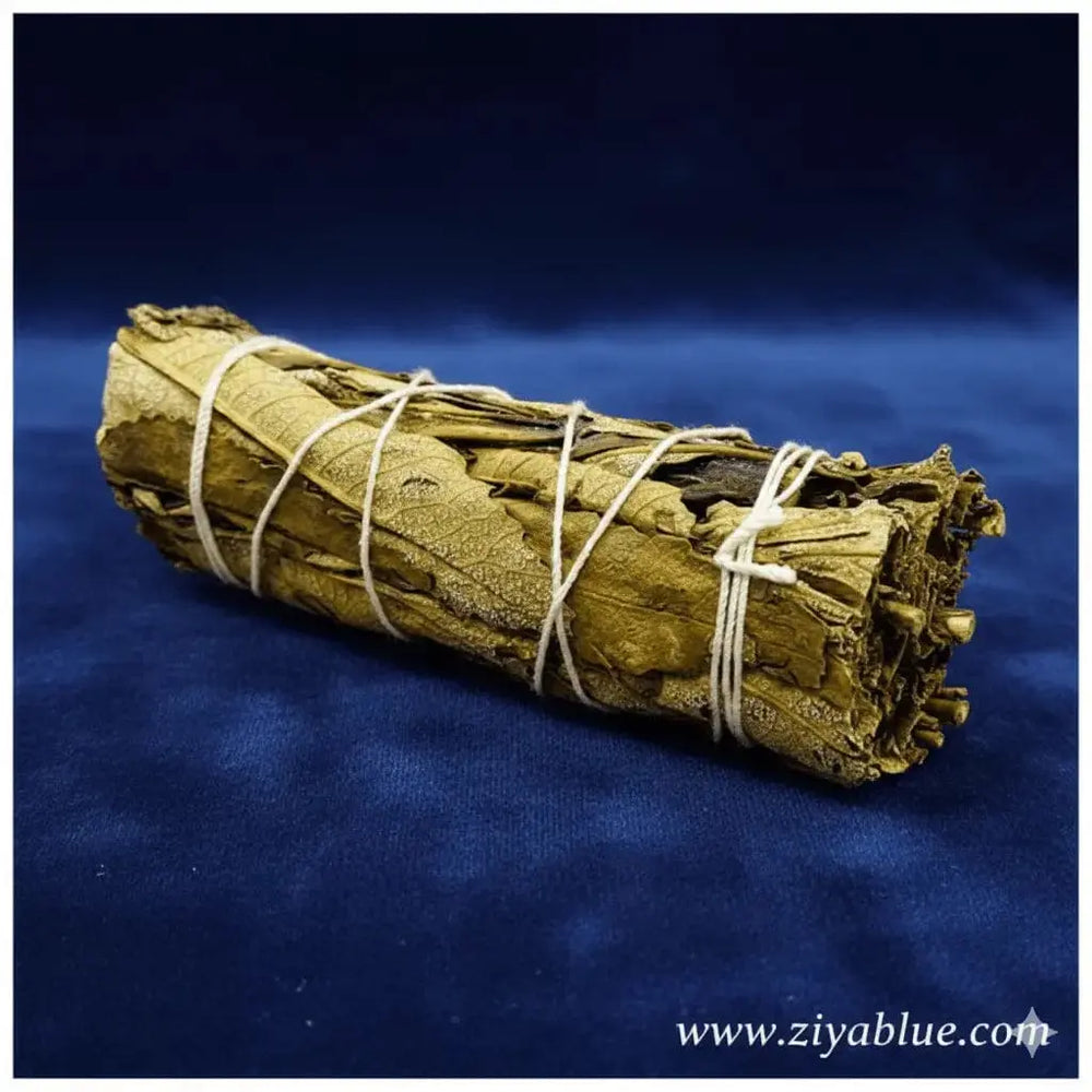 Yerba Santa Sage Stick: Holy Herb Heart Healer (4") Maeve Toys Ziya Blue