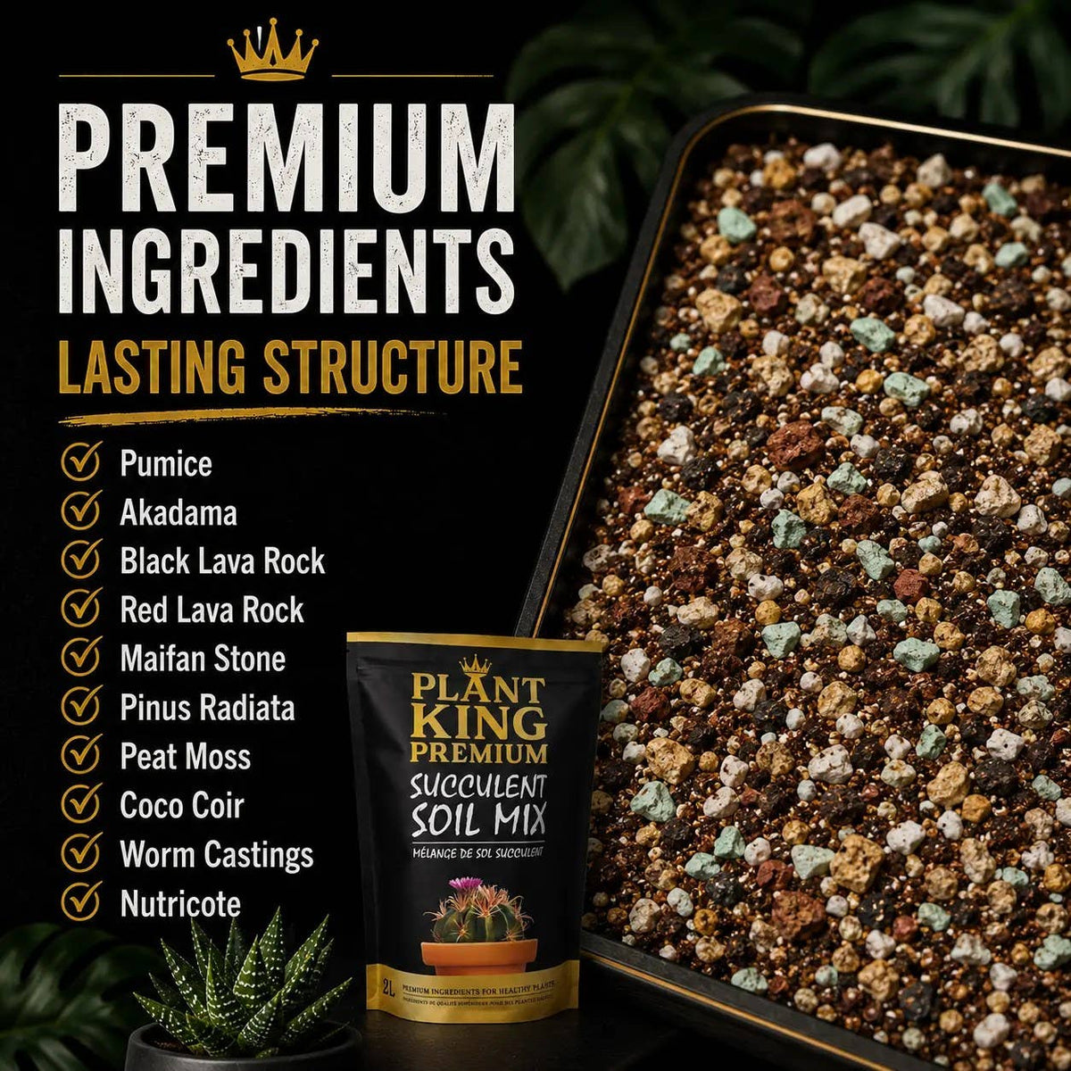 Premium Cactus & Succulent Potting Soil Mix | 2L