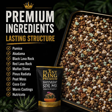 Premium Cactus & Succulent Potting Soil Mix | 2L