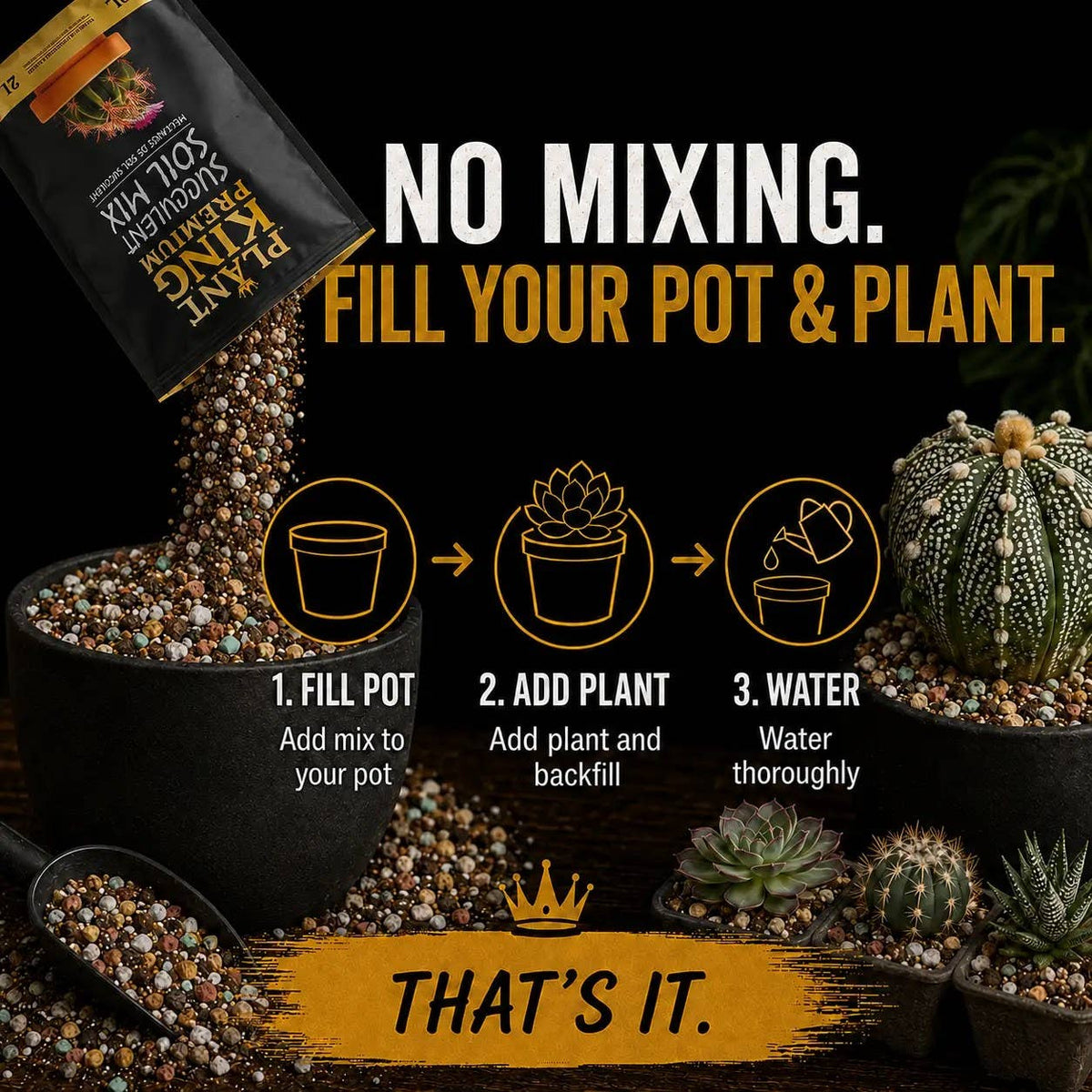 Premium Cactus & Succulent Potting Soil Mix | 2L