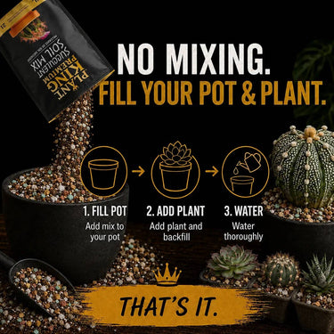 Premium Cactus & Succulent Potting Soil Mix | 2L