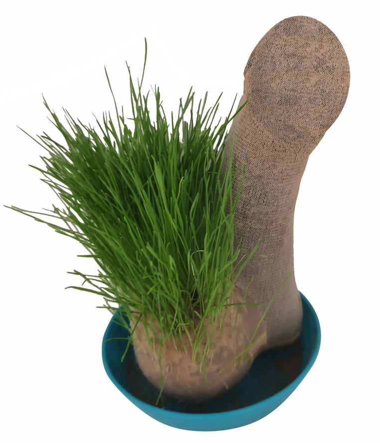 Grow Hairy Balls