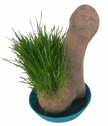 Grow Hairy Balls