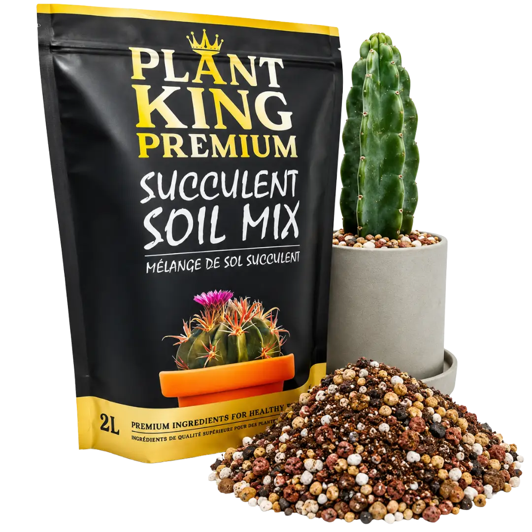 Premium Cactus & Succulent Potting Soil Mix | 2L