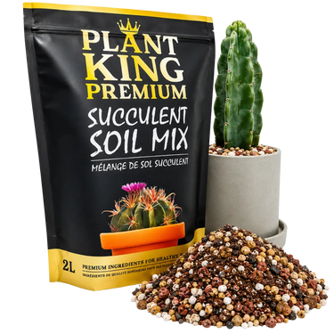Premium Cactus & Succulent Potting Soil Mix | 2L