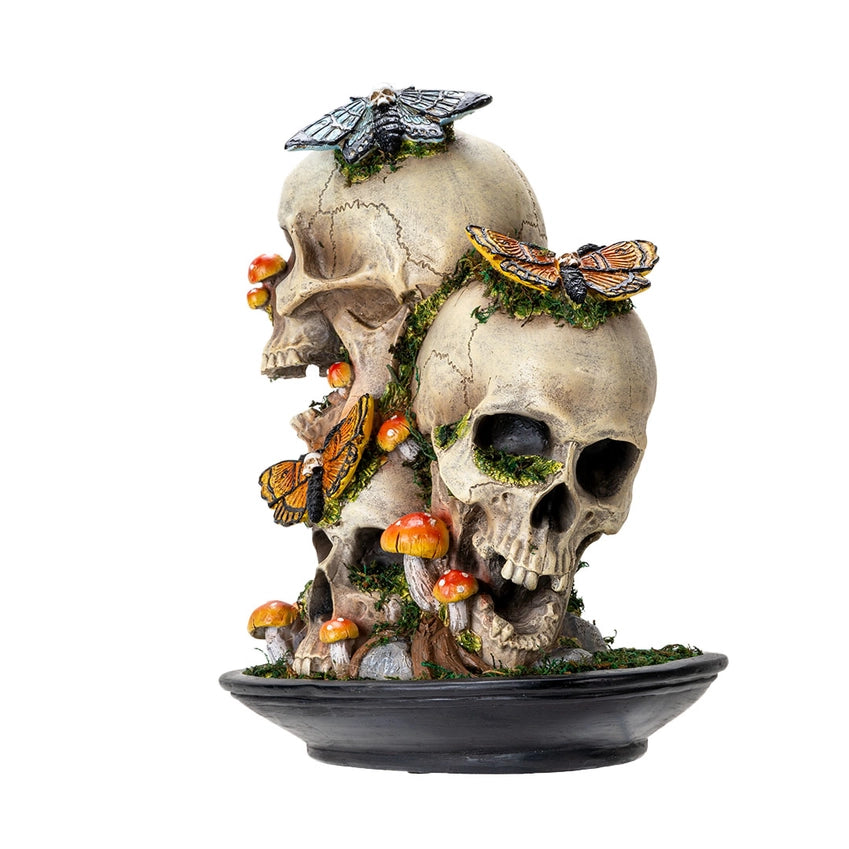Decorative Skull with Dead Moths: A Stunning Cabinet of Curiosities Statement Piece