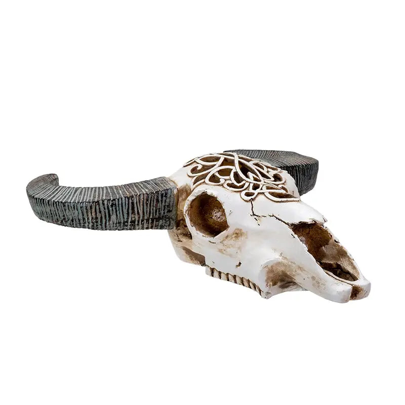 LED Carved Cow Skull with Round Horns | Boho Gothic Decor