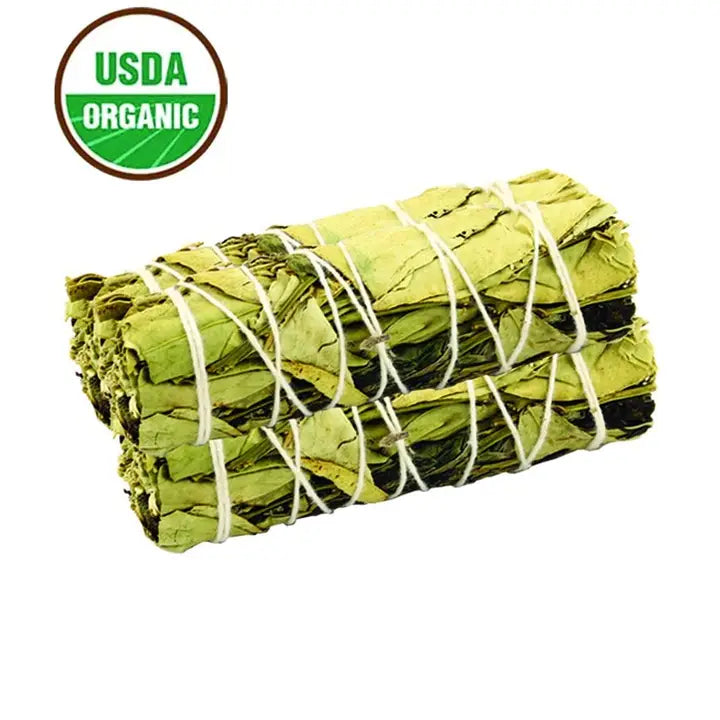 Sage Smudge Stick - Lemon Balm & Peppermint 4"