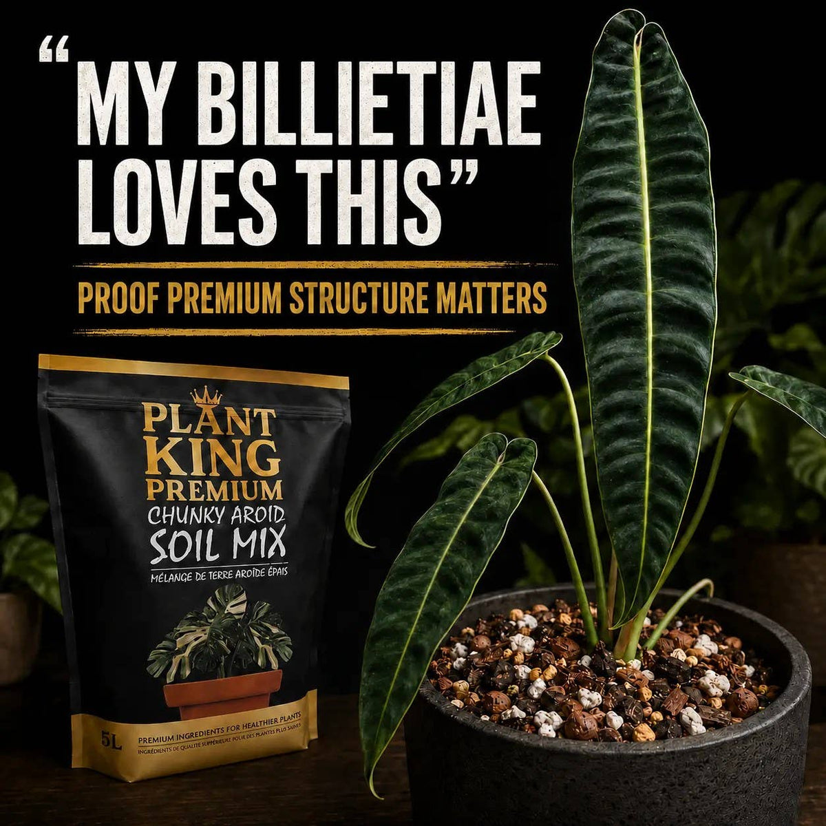 Chunky Aroid Potting Soil Mix | 5L