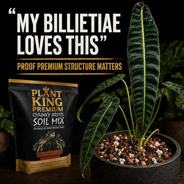 Chunky Aroid Potting Soil Mix | 5L