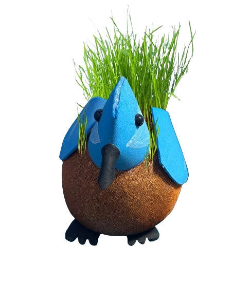 Grow Hairy Tit