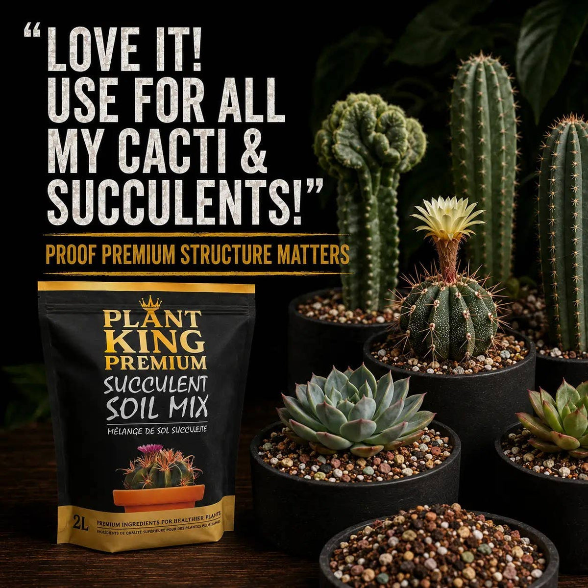 Premium Cactus & Succulent Potting Soil Mix | 2L