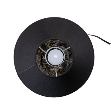 Dragon Table Lamp | Gothic & Fantasy Decor