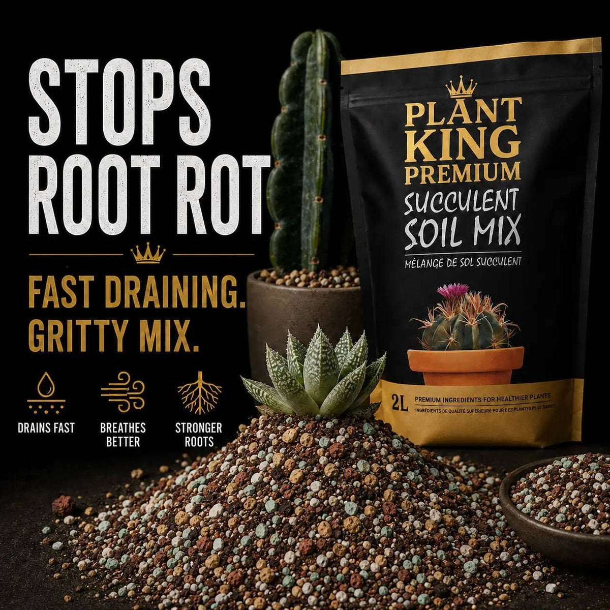Premium Cactus & Succulent Potting Soil Mix | 2L