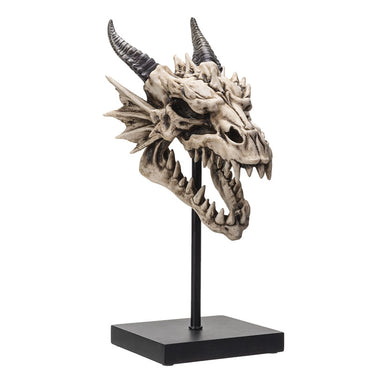 Decorative Skull - Dragon (Detailed)